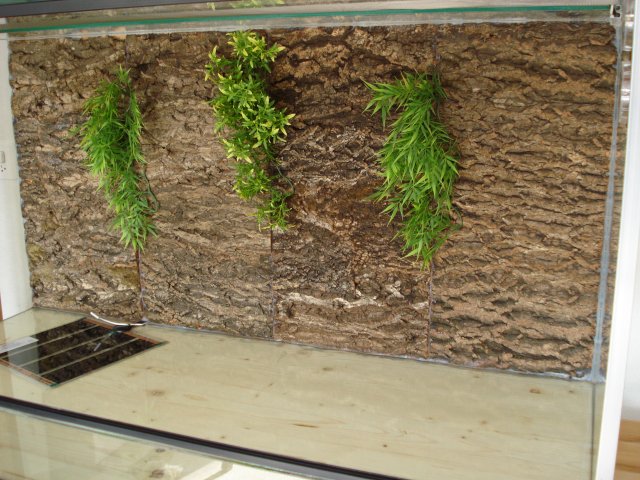 leeres Terrarium für die gründliche Reinigung leeres Terrarium für die gründliche Reinigung